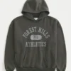 Bluza z kapturem Box Forest Hills Athletics Graphic Hoodie Bluza z kapturem Box Forest Hills Athletics Graphic Hoodie