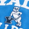 Bluza z kapturem z nadrukiem Yale Bulldogs Bluza z kapturem z nadrukiem Yale Bulldogs
