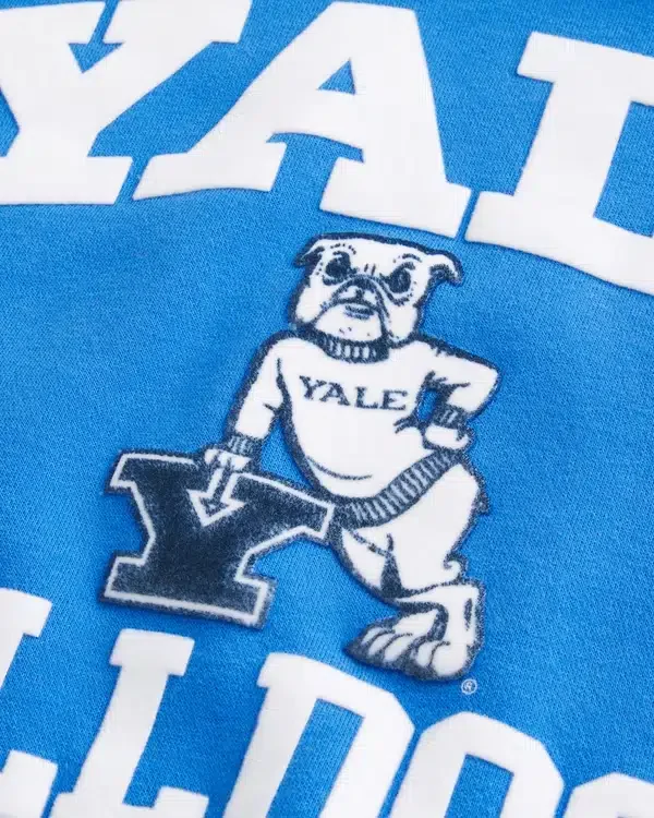 Bluza z kapturem z nadrukiem Yale Bulldogs Bluza z kapturem z nadrukiem Yale Bulldogs