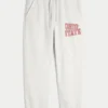 Spodnie dresowe Ohio State University Buckeyes Graphic Baggy Cinch Fleece Joggers Spodnie dresowe Ohio State University Buckeyes Graphic Baggy Cinch Fleece Joggers
